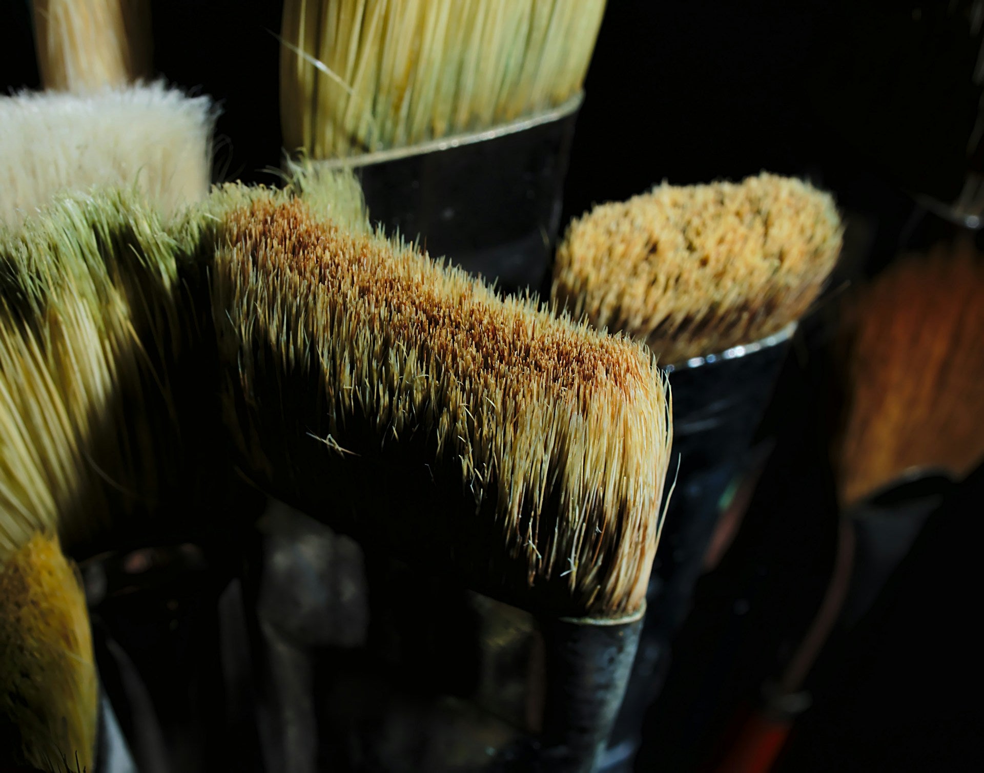 Paint Brush