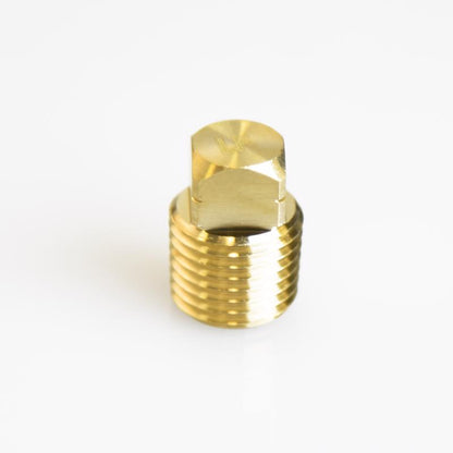 CORED PLUG 1/4"MPT - Pack of 5