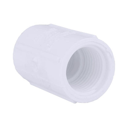 COUPLE SCH40 PVC 1/2"FPT - Pack of 50
