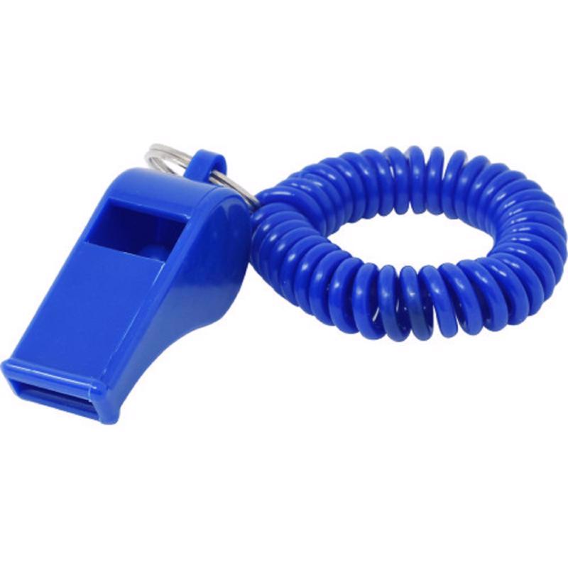 WRST COIL KEY CHAIN PLST - Pack of 24