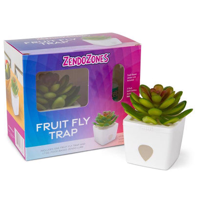 FRUIT FLY TRP SEREN SNDY - Pack of 6