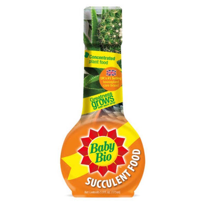 PLANT FD SUCLNT 5.9oz - Pack of 12