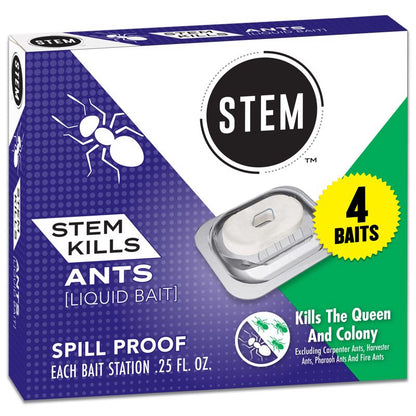 ANT BT STTN ANTS SPINOSD - Pack of 12