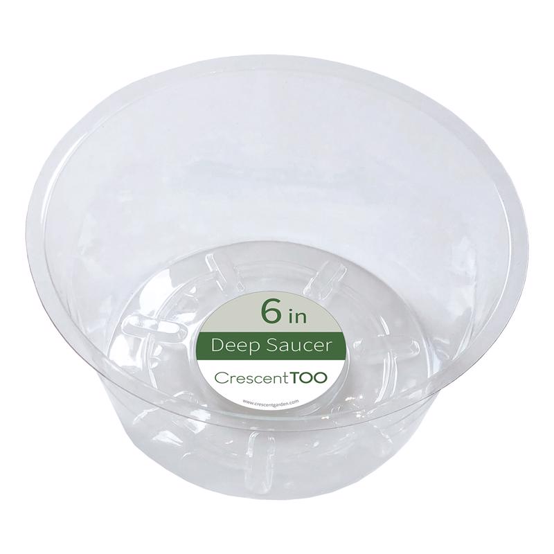 PLNT SAUCR PLSTC CLR 6"D - Pack of 50