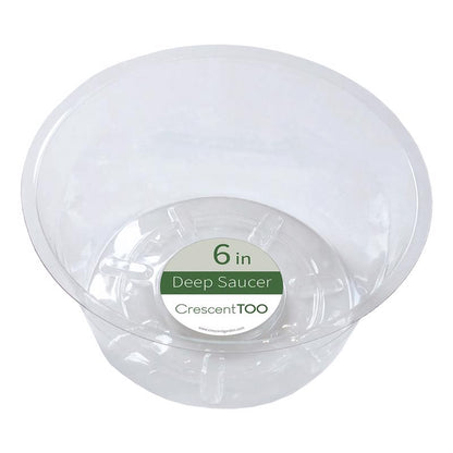 PLNT SAUCR PLSTC CLR 6"D - Pack of 50
