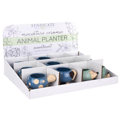 SCLNT POT ANML CRMC - Pack of 12