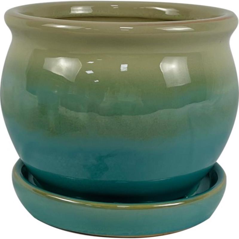 PLANTR ARCHDL MOSS 6" - Pack of 6