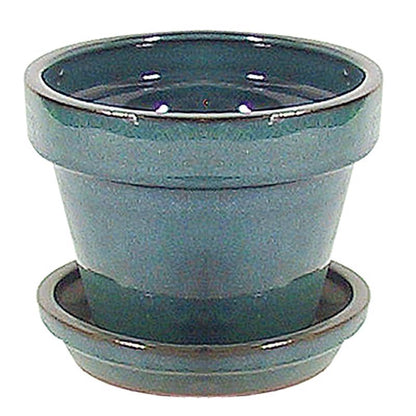 PLNTR CRMC BLU 6" - Pack of 6