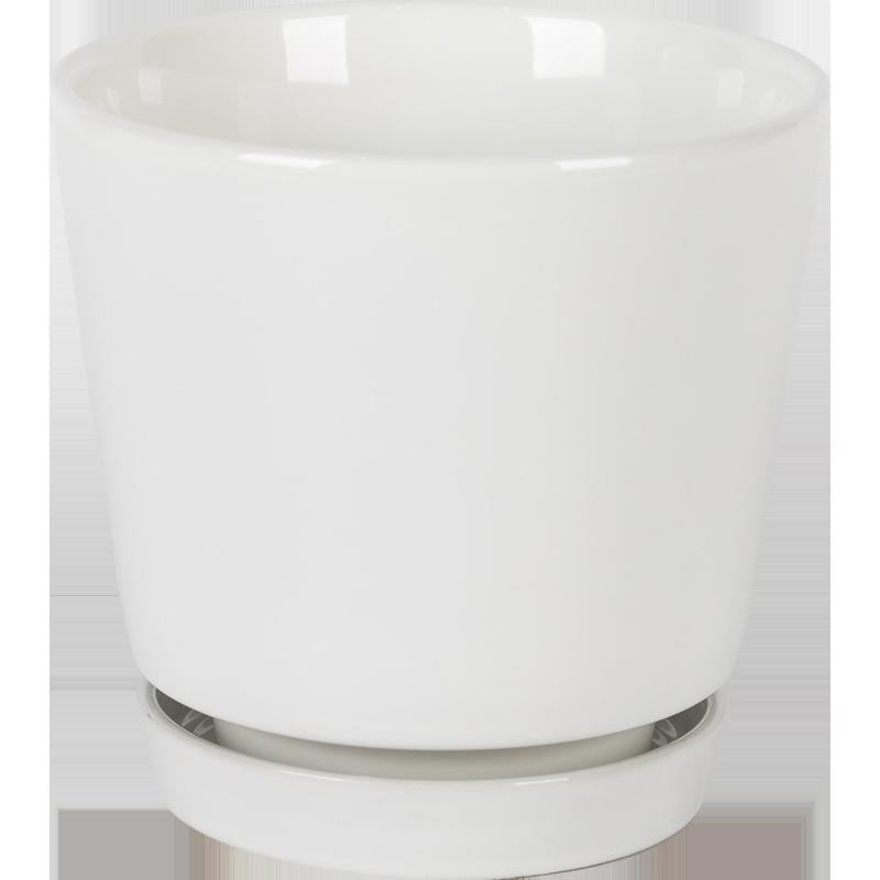 SAUCERPOT 6" FLAIR WHT - Pack of 6