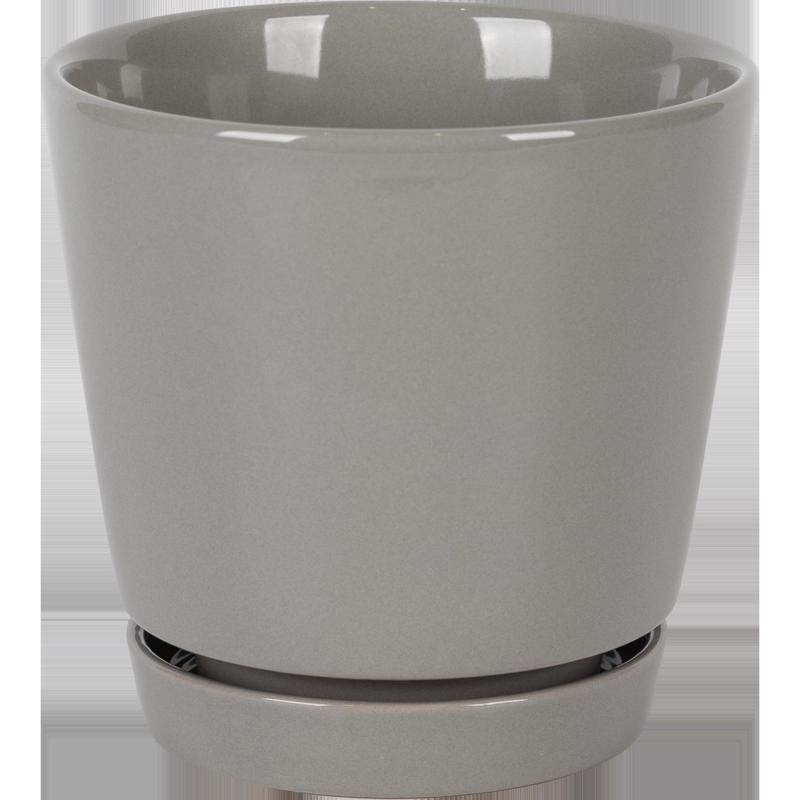PLNTR CRMC GRY 6" - Pack of 6