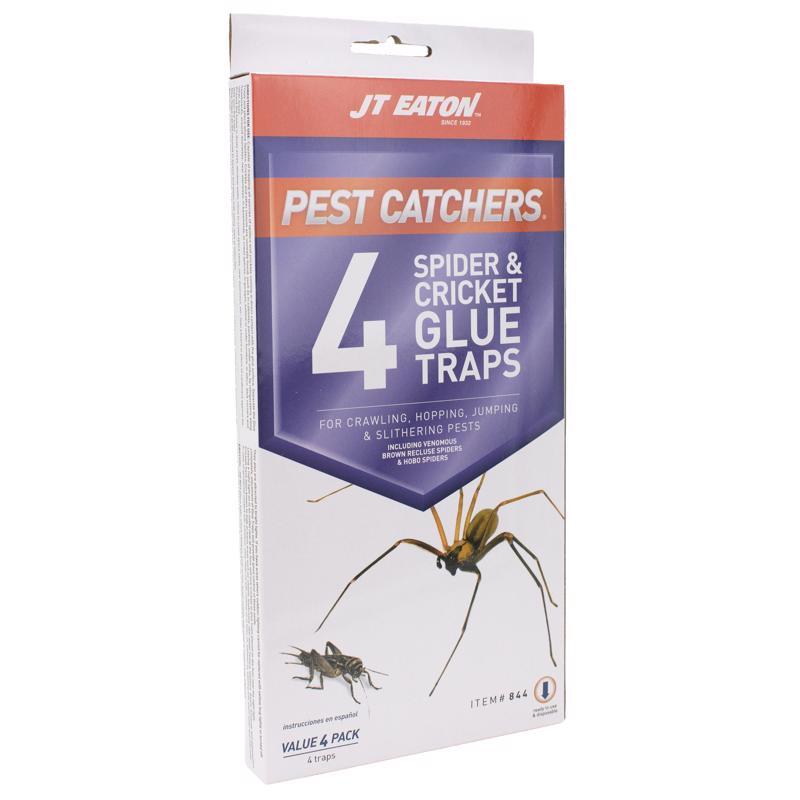 TRAP SPIDR & CRICKET 4PK - Pack of 12