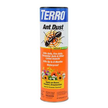 DUST ANT TERRO 1# - Pack of 12