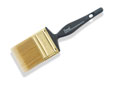TREND 2.5" - Pack of 12