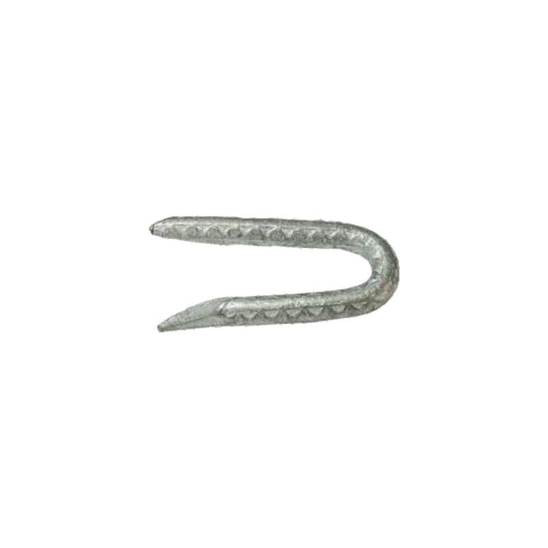 FNCE STAPLE GLV 2.5" 5# - Pack of 6