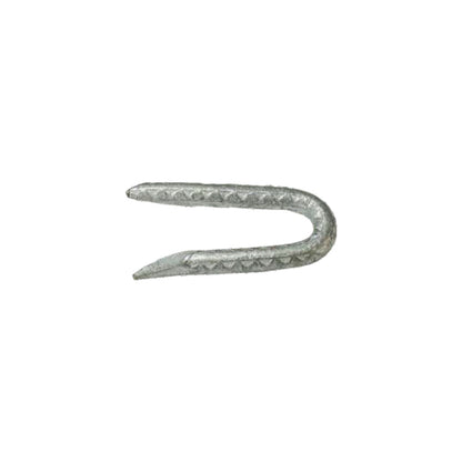 FNCE STAPLE GLV 2.5" 5# - Pack of 6