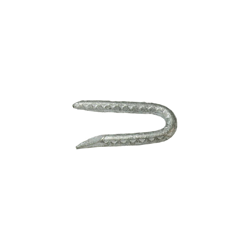 FNCE STAPLES 1.75" 5# - Pack of 6