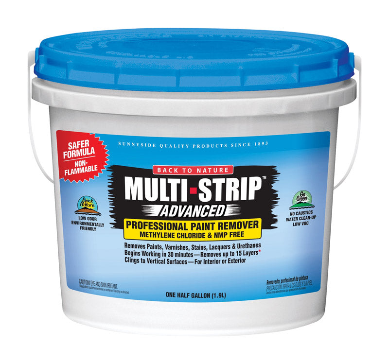 REMVR PAINT PROFES 1/2G - Pack of 4