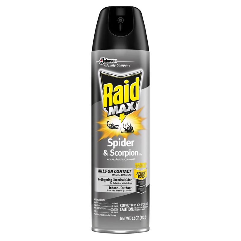 RAID SPIDER & SCORPION - Pack of 12