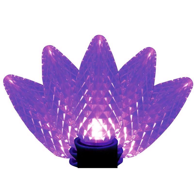 LGHT BLBS C9 PUR 25CT