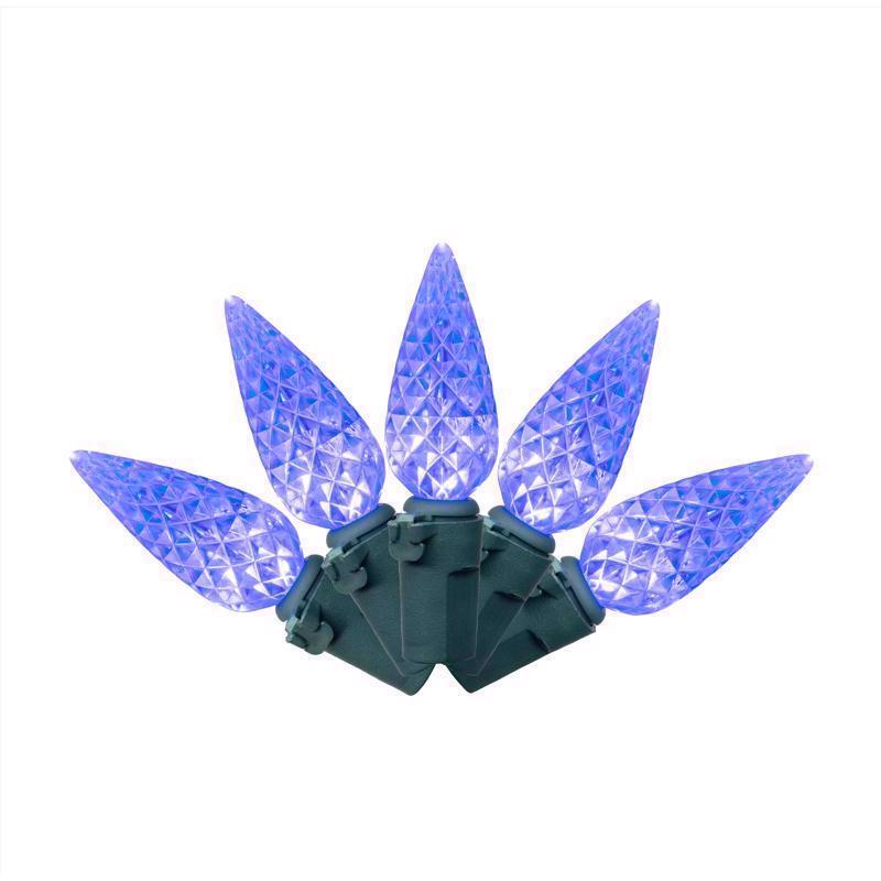 Emery Jensen LGHTS C6 LED blue string lights, 100-count, ideal for decorative lighting and festive occasions.