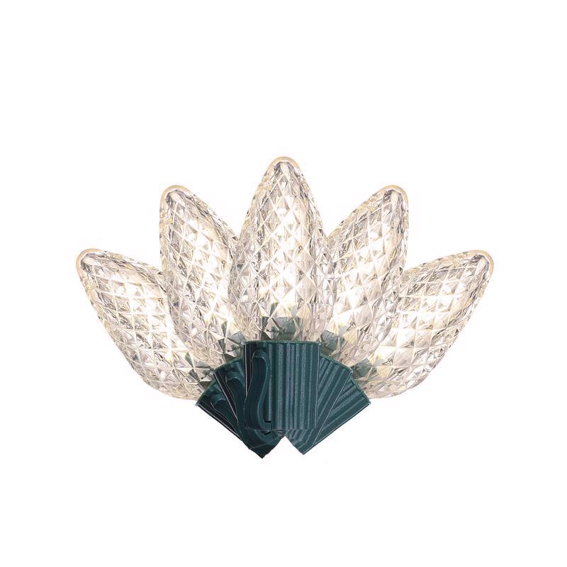 LGHTS C9 LED STRNG 25CT
