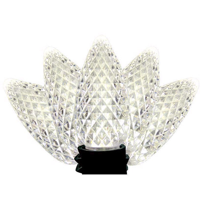 Emery Jensen LGHTS C9 Pure White 75-count LED string lights for decorative indoor or outdoor lighting.