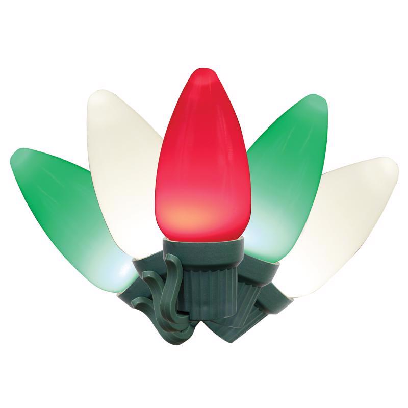 Emery Jensen LED C9 light set with 25 bright, colorful bulbs in a basic novelty design for holiday or decorative lighting.