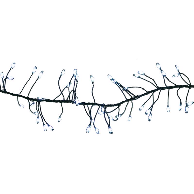 Emery Jensen basic LED minis string light with 250 clear bulbs, ideal for decorative outdoor or indoor lighting.
