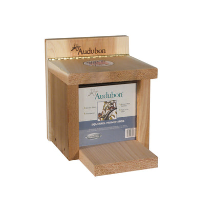 SQUIRREL FEEDER CEDAR - Pack of 2