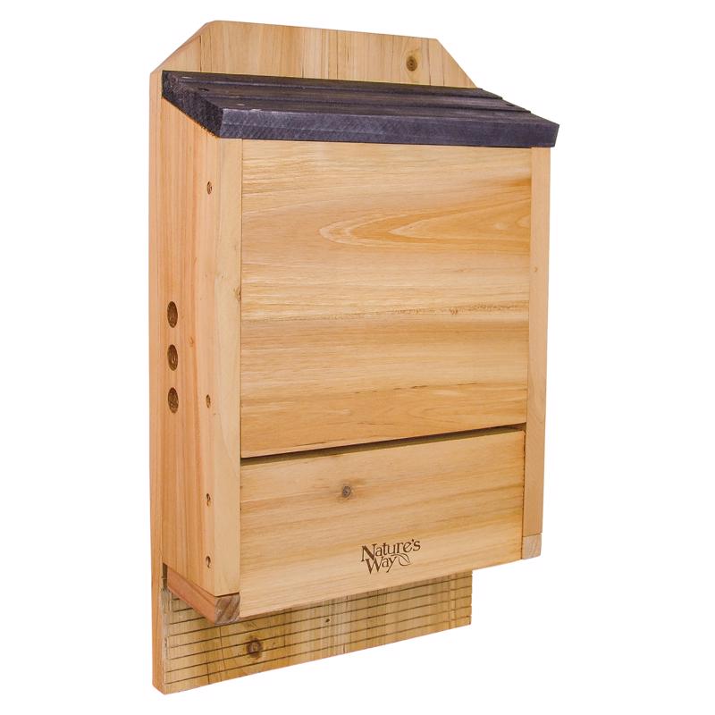 BAT HOUSE BATS CEDR 5"W