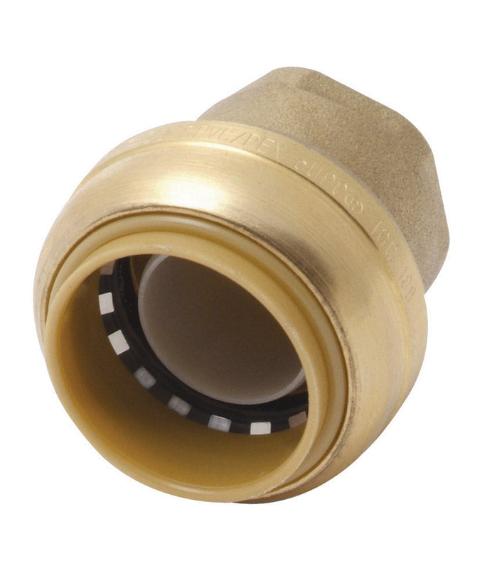 SHARKBITE CAP 1" LF