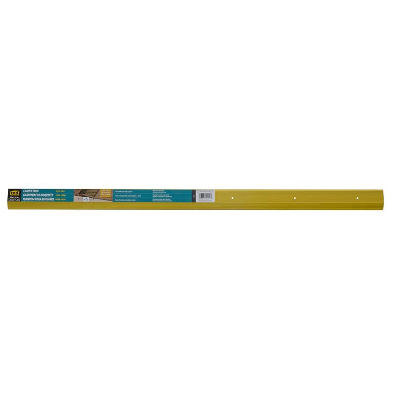 BAR CARPET 2"3'GOLDA824H