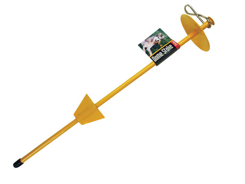 Emery Jensen 20-inch dog tie-out stake with chain and cable for outdoor pet containment, sturdy metal stake in a natural setting.