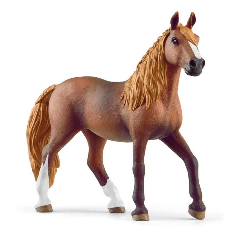 HORSE FGRN PRVN PS MR 6" - Pack of 5