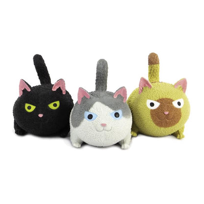 SQUIDGY CAT ASSORTED 1PK - Pack of 8
