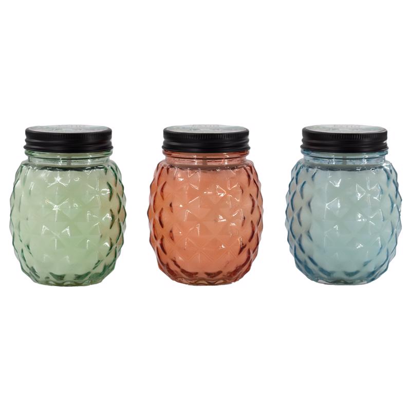 Set of 9 Emery Jensen Citro Candle GLS citronella torches, outdoor mosquito repellent candles in a pack for patio lighting.