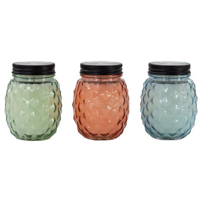 Set of 9 Emery Jensen Citro Candle GLS citronella torches, outdoor mosquito repellent candles in a pack for patio lighting.