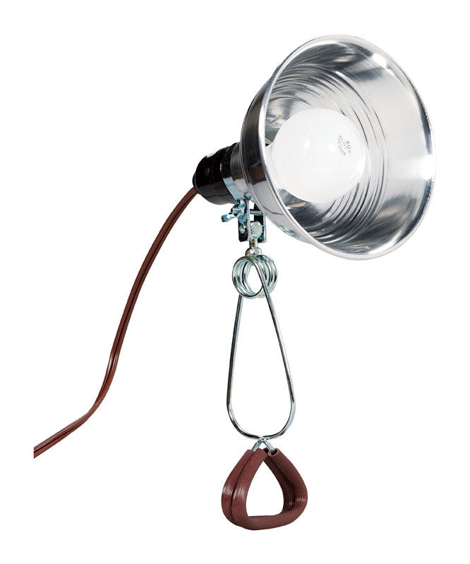 CLAMPLMP 60W 18/2 SPT2 - Pack of 6