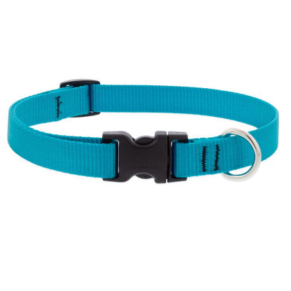 Emery Jensen adjustable collar for dogs, medium size, aqua color, made of durable material with a secure buckle.