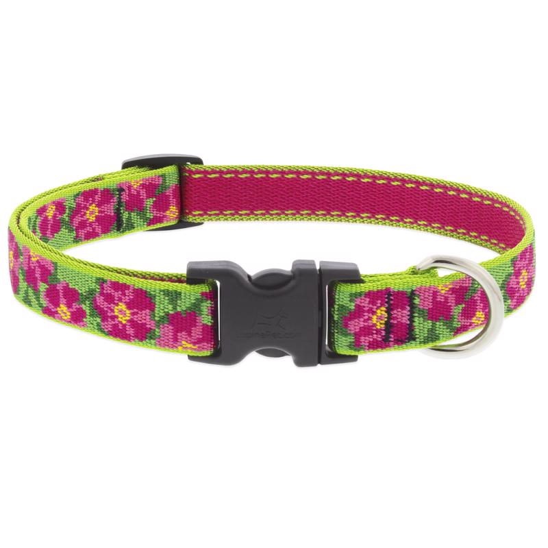 Adjustable dog collar by Emery Jensen, 9-14 inches, made of durable material, suitable for small to medium dogs.