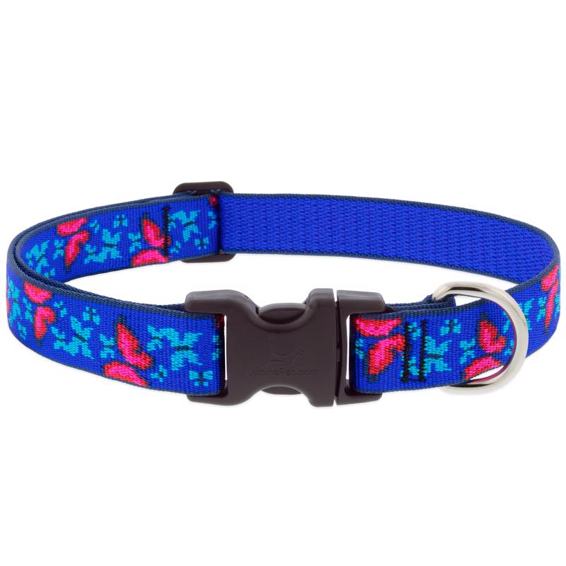 Emery Jensen butterfly collar or leash for dogs, 12-20 inches, in vibrant colors with decorative butterfly design.