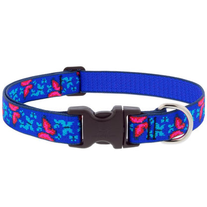 Emery Jensen butterfly collar or leash for dogs, 16-28 inches, with a colorful butterfly design on durable material