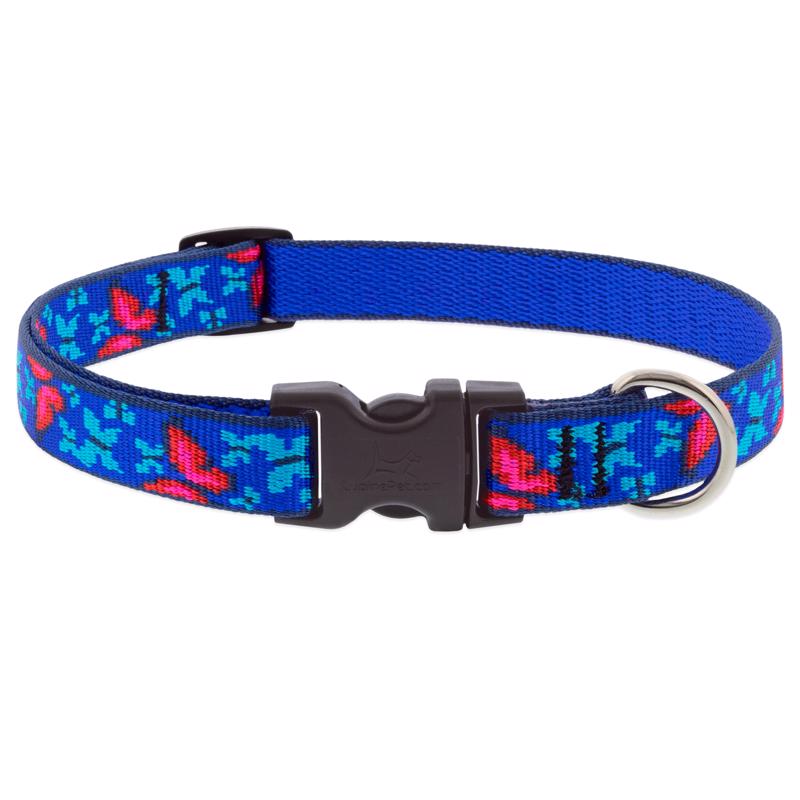 Emery Jensen butterfly-patterned dog collar with a 9-4 inch adjustable length, made of durable material for pets.