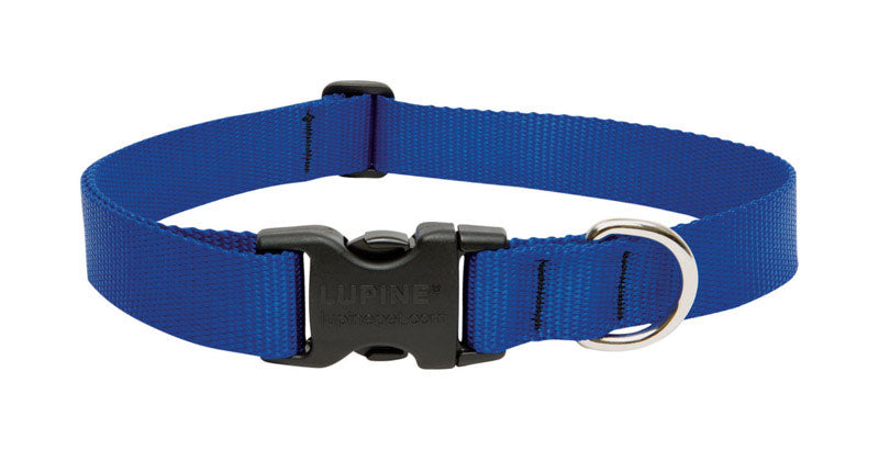 Blue adjustable dog collar from Emery Jensen, fits 12-20 inches, with secure buckle and durable nylon material.