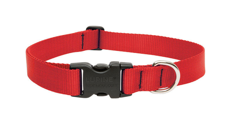 Red adjustable dog collar from Emery Jensen, fits 12-20 inch necks, made of durable material for everyday use.