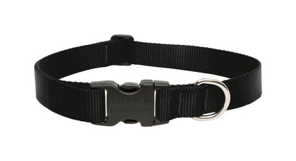 Black adjustable dog collar from Emery Jensen, 16-28 inches, featuring durable design for everyday pet wear.