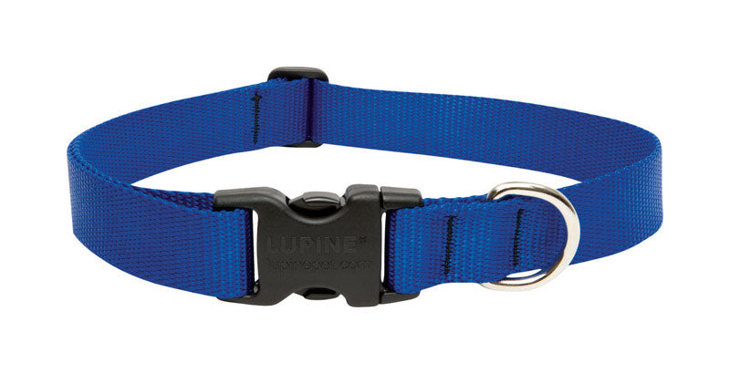Blue adjustable dog collar from Emery Jensen, fits 16-28 inches, with durable design for comfortable pet wear.