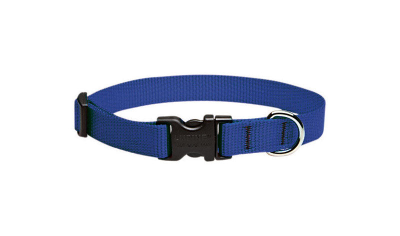 Blue adjustable dog collar from Emery Jensen, fits 9-14 inches, with secure buckle and durable nylon material.