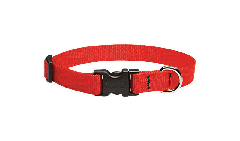 Red adjustable dog collar from Emery Jensen, fits 9-14 inches, made of durable material for pets.