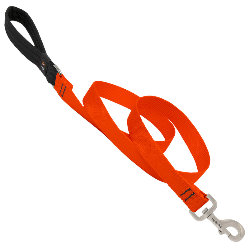 Emery Jensen 6ft dog leash with 1-inch blue nylon strap, durable and adjustable for walking and training.
